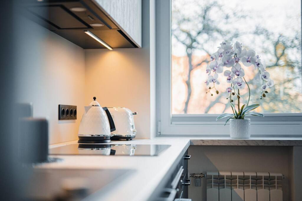 New Luxury 3Br Apartment In Old Town, Free Parking Haapsalu Exterior photo
